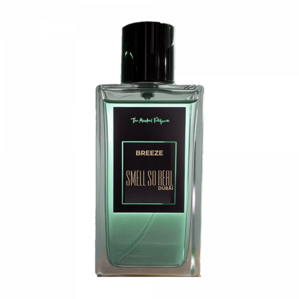 Breeze (Dolce & Gabbana Light Blue Pour Homme For Him)